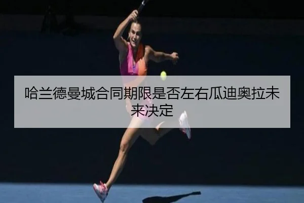 ha-lan-de-man-cheng-he-tong-qi-xian-shi-fou-zuo-you-gua-di-ao-la-wei-lai-jue-ding-2-906.jpg